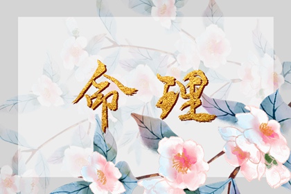 择吉皇历_老皇历_皇历查询